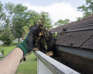 Gutter Cleaning